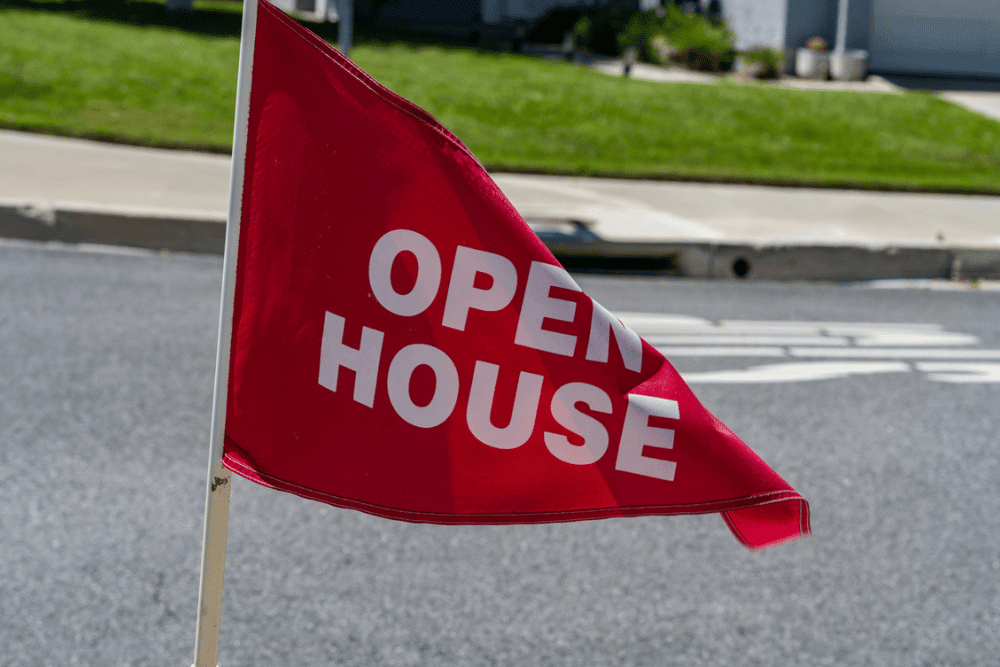 How Promotional Flags Build Momentum Before a New Site Opens - Signwaves